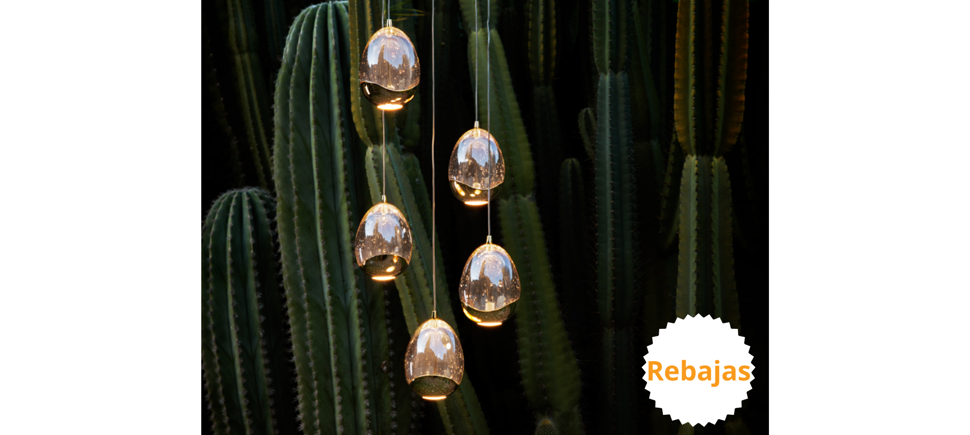 Descripción de la imagen